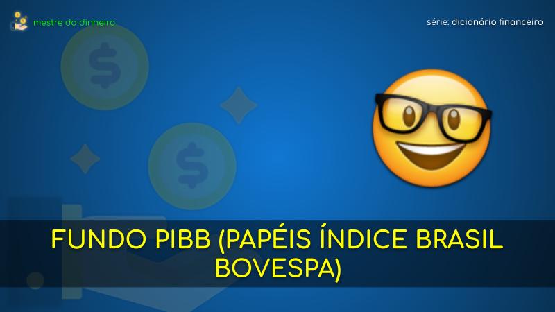 fundo pibb (papéis índice brasil bovespa) o que é significado dicionario financeiro mestre do dinheiro